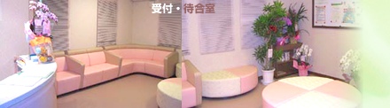 vۓcNjbN